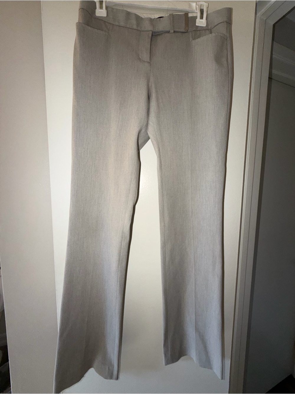 Express Columnist Light Gray Dress Pants - Straight Leg - Size 4L